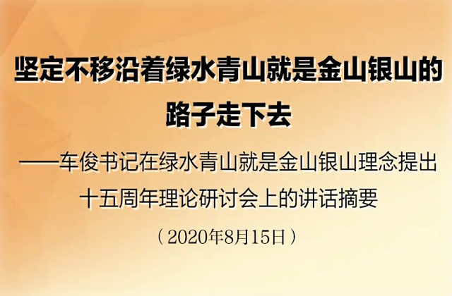 坚定不移沿着绿水青山就是金山银山的路子走下去